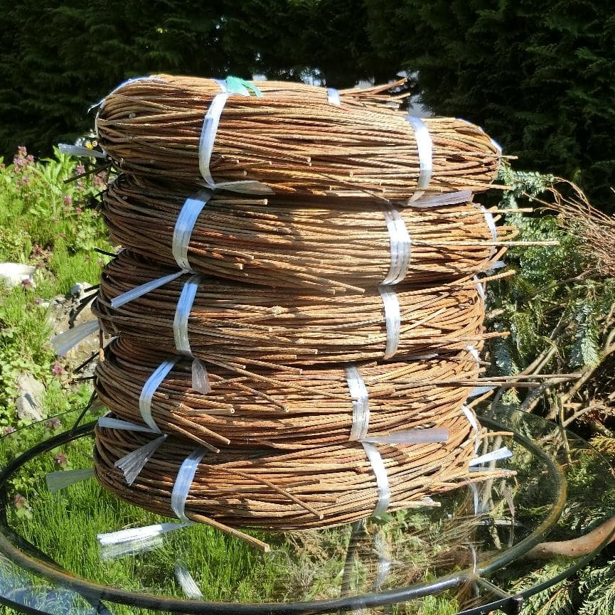 Marron　青森岩木山採取　あけび蔓　150cm～ 5kg