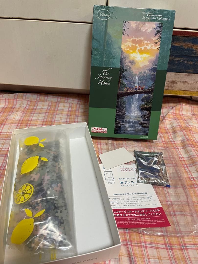 ディズニー　ザ ジャーニーホーム　ロデルゴンザレス　456p パノラマ パズル