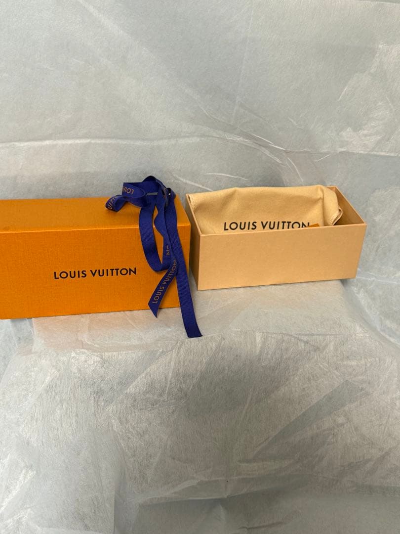 Louis Vuitton マルチカラー ケース　2024ss