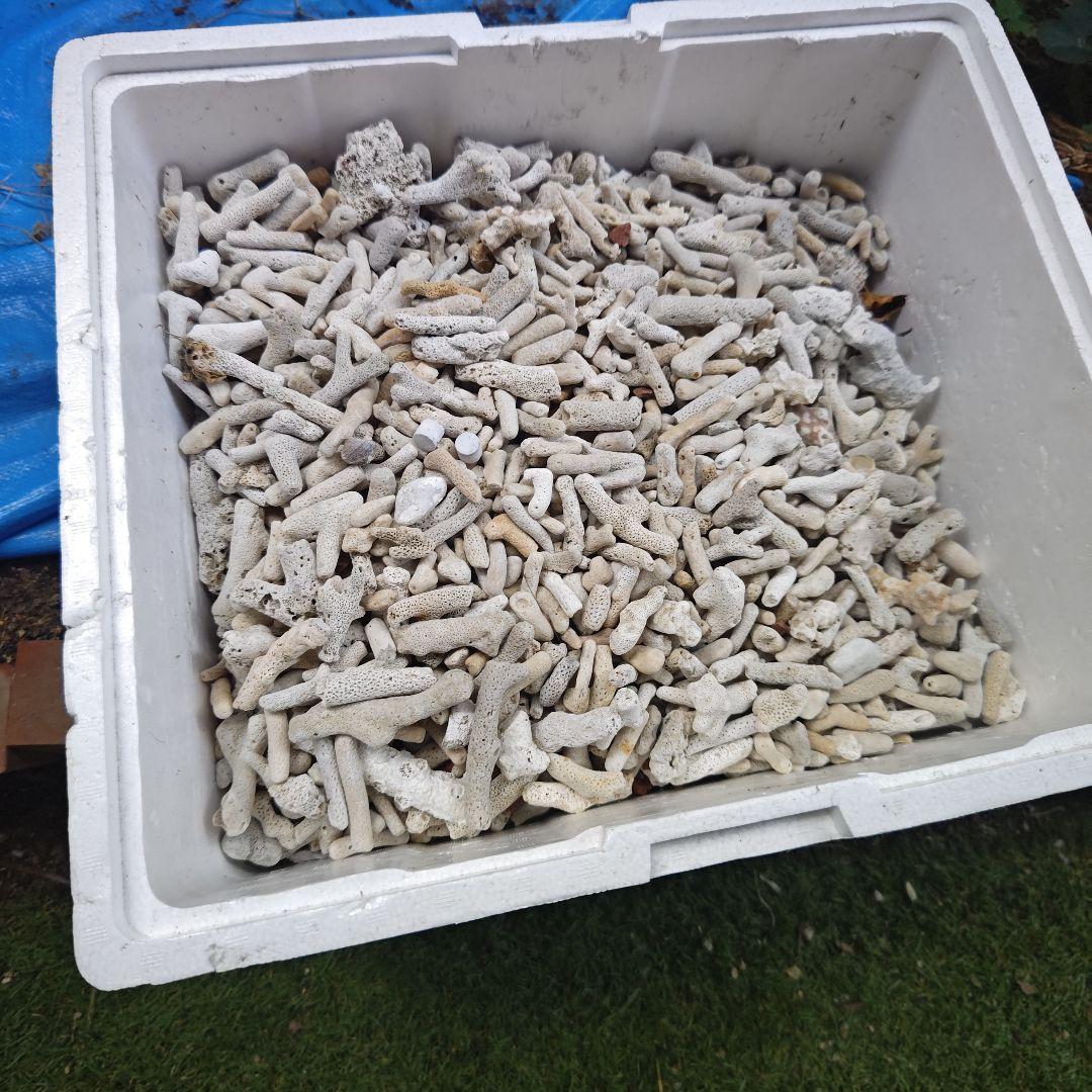 珊瑚です。 20キロ以上くらいはあると思います。 濾過層などにどうでしょうか？