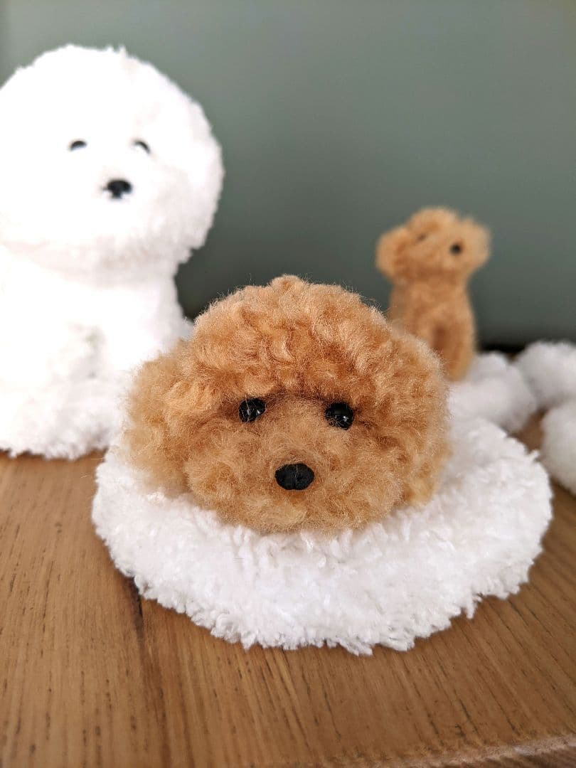 6体　　ひみつきち☆です　手乗りわんこ　トイプードル