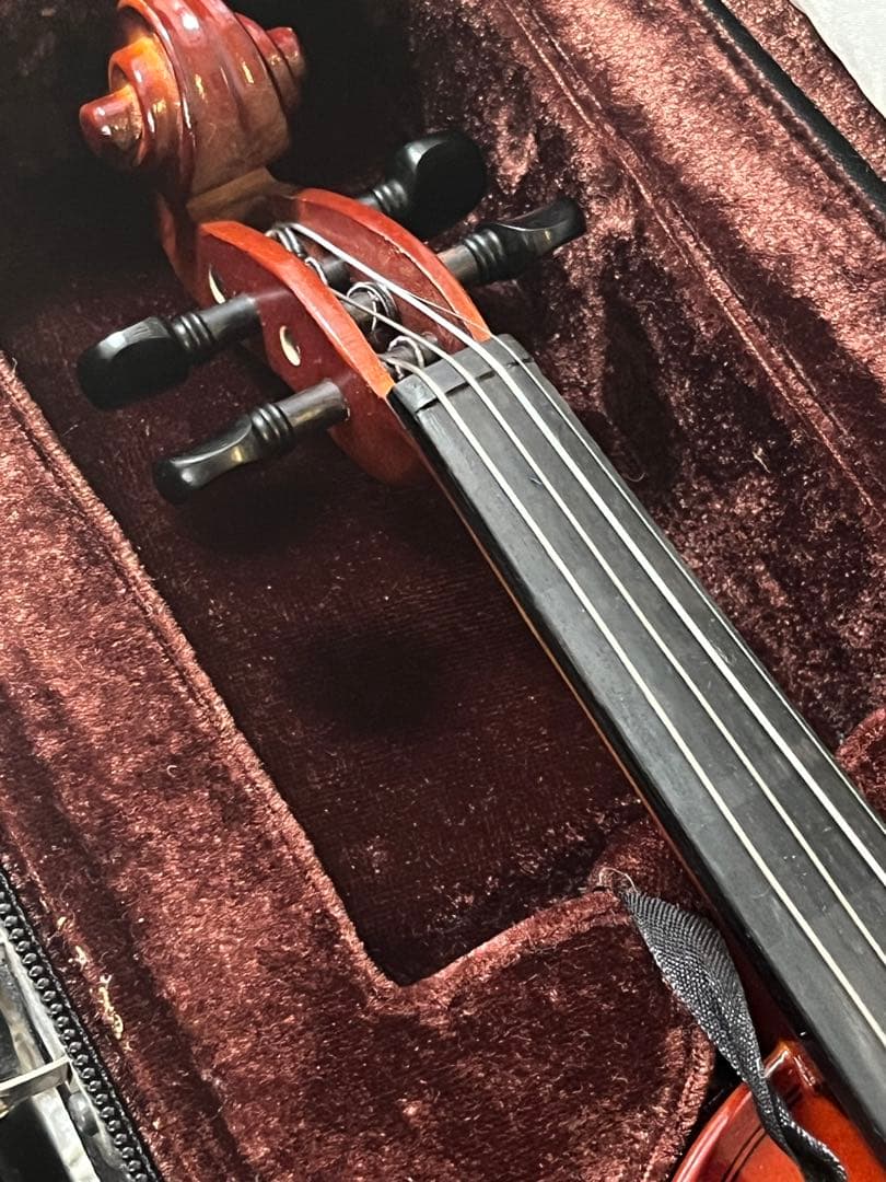 カルロジョルダーノVS1 バイオリン1/10 （ケース、肩当て、松脂付き）