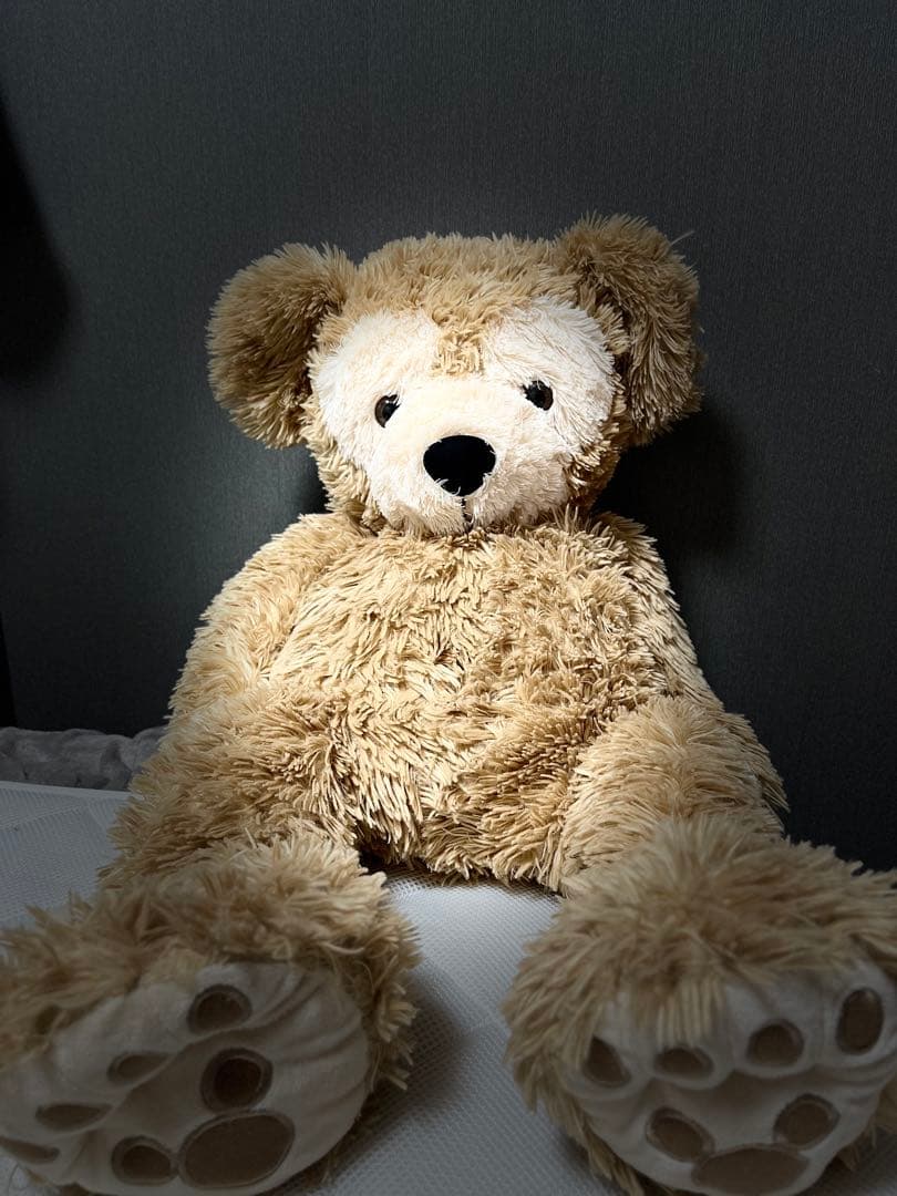 Disney ダッフィーぬいぐるみ 全長約70cm