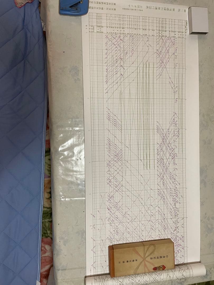 東海道線列車運行図　土休　平日