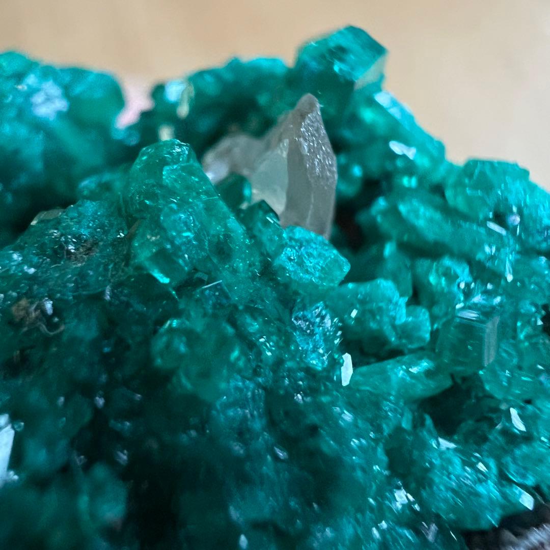 ダイオプテーズ セルサイト プランヘ石  共生 鉱物 標本 原石