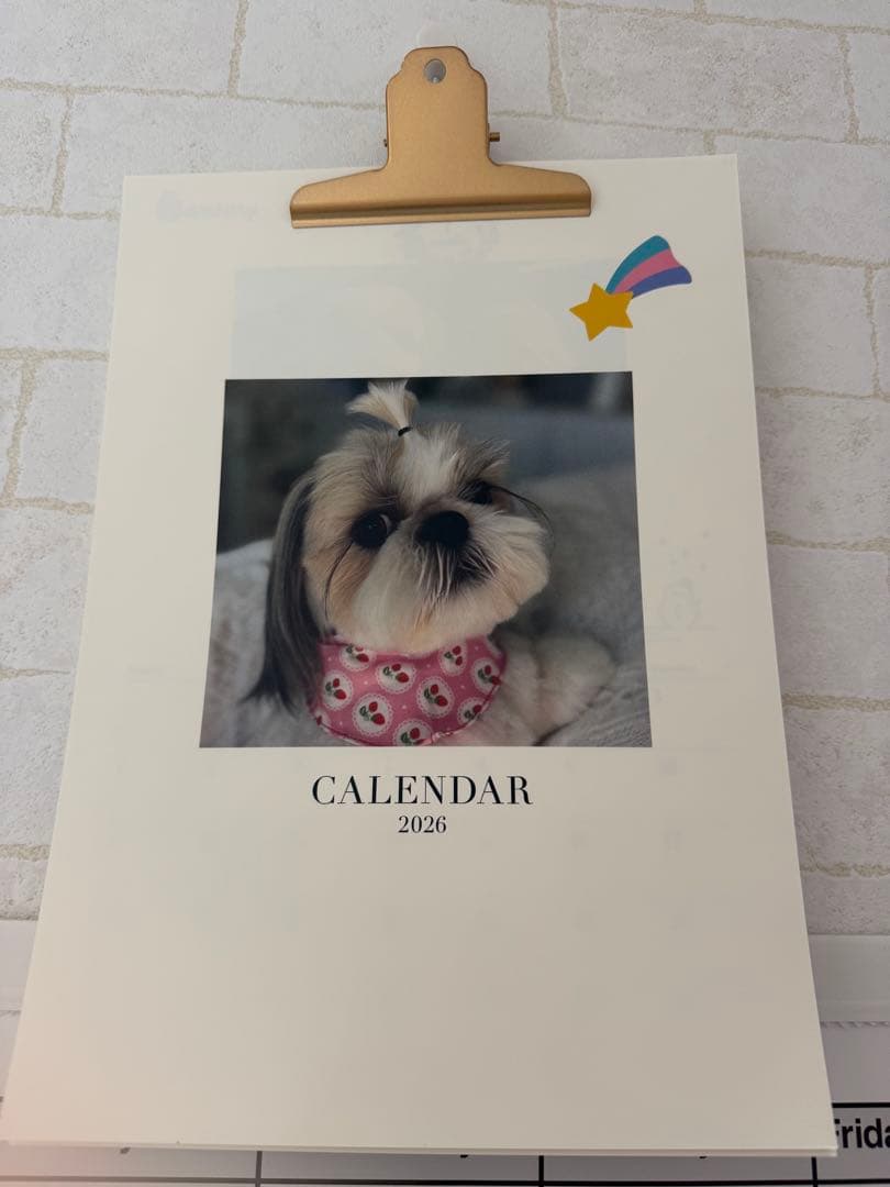 愛犬ちくわ壁掛けカレンダー【オリジナル】