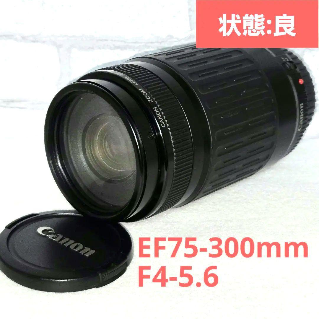 【風景の撮影に✨️】Canon EF75-300mm F4-5.6 望遠レンズ