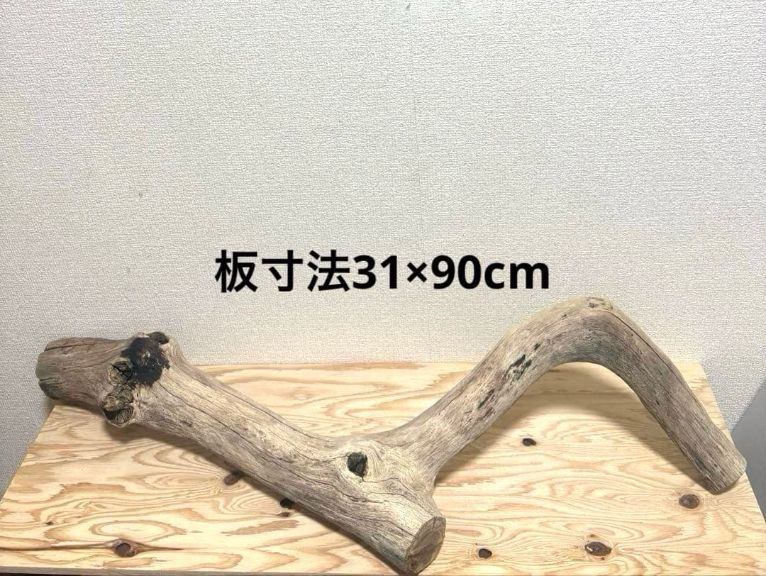 Ｇ39 流木　爬虫類　両生類　小動物シェルター　DIY ハンドメイド　観葉植物