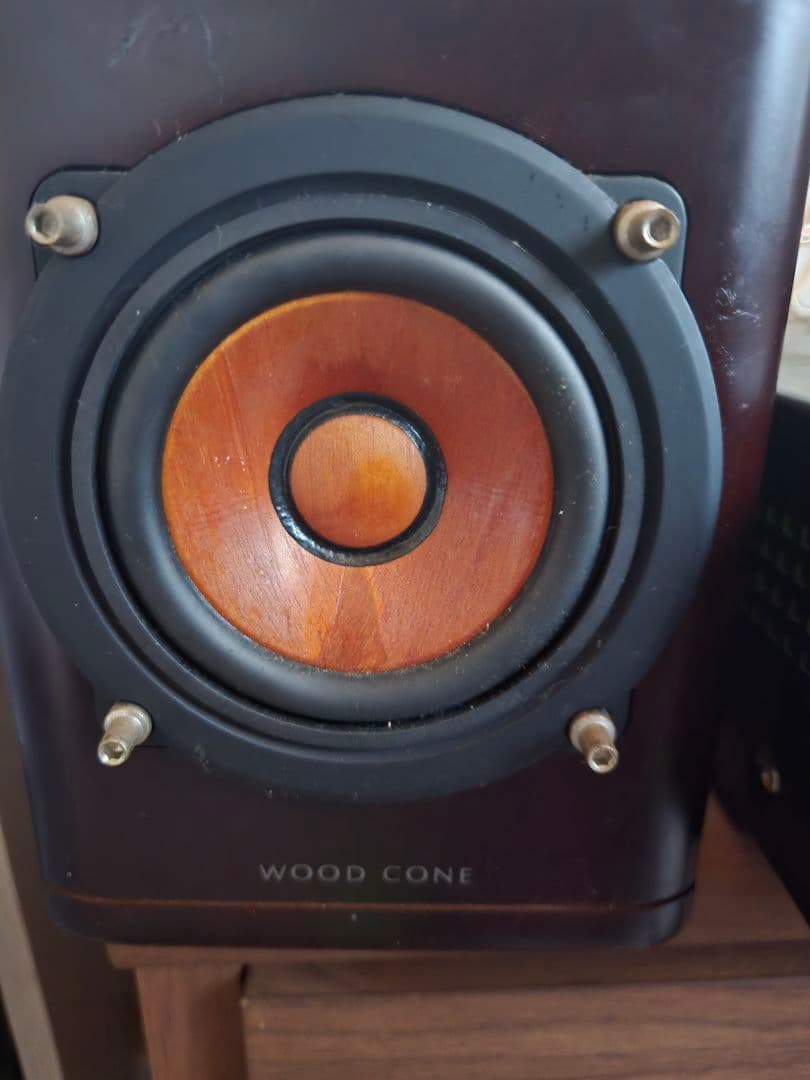 JVC ペア ウッドコーン SP-EXN5