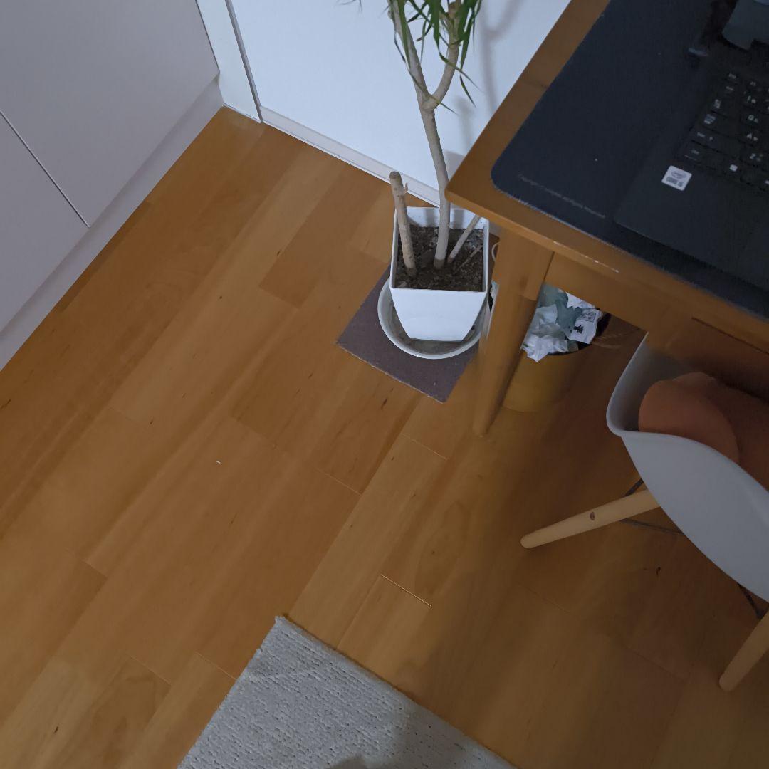 NEC 15.6型 ノートパソコン／i5 第8世代／Windows11／DVD