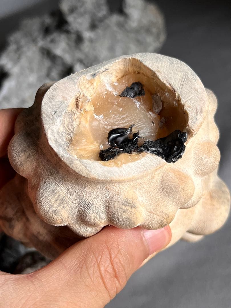 古美術　太湖石・時代物・天然古賞石　置物・古賞物・古擺件　中国美術　唐物　自然石