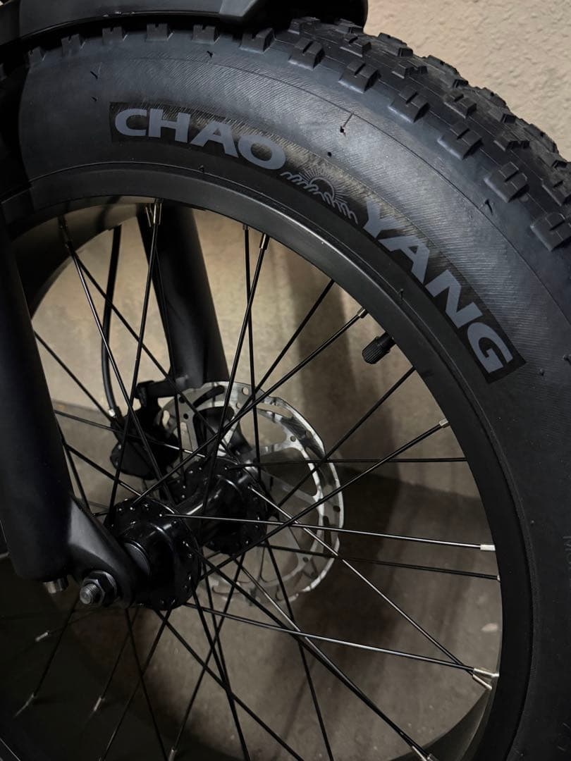 MATE BIKE 自転車 メイト　250