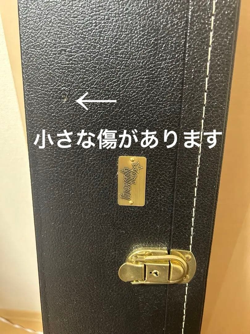 送料無料！1960ハミングバード　マーフィーラボLight Aged