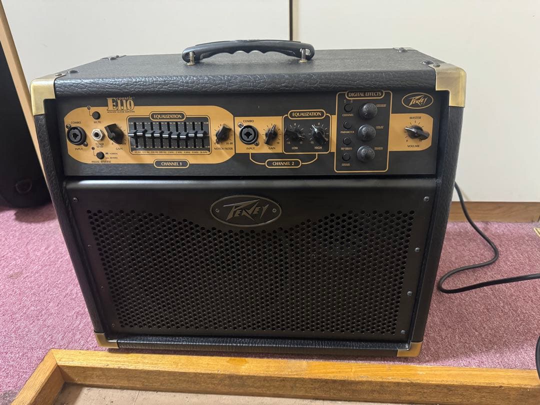 Peavey E110 アコースティックギターアンプ