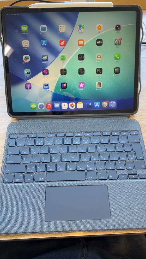 iPad Pro 12.9インチ　第4世代　1TB 付属品あり　値下げしました