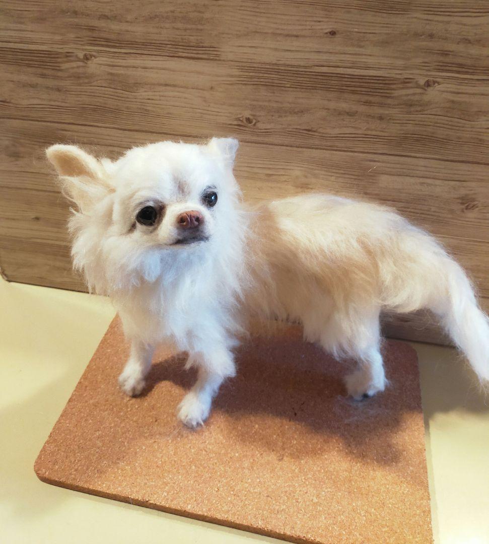 羊毛フェルト　ハンドメイド　犬　チワワ