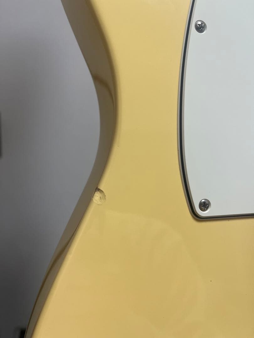 Fender Telecaster (ソフトケース付)