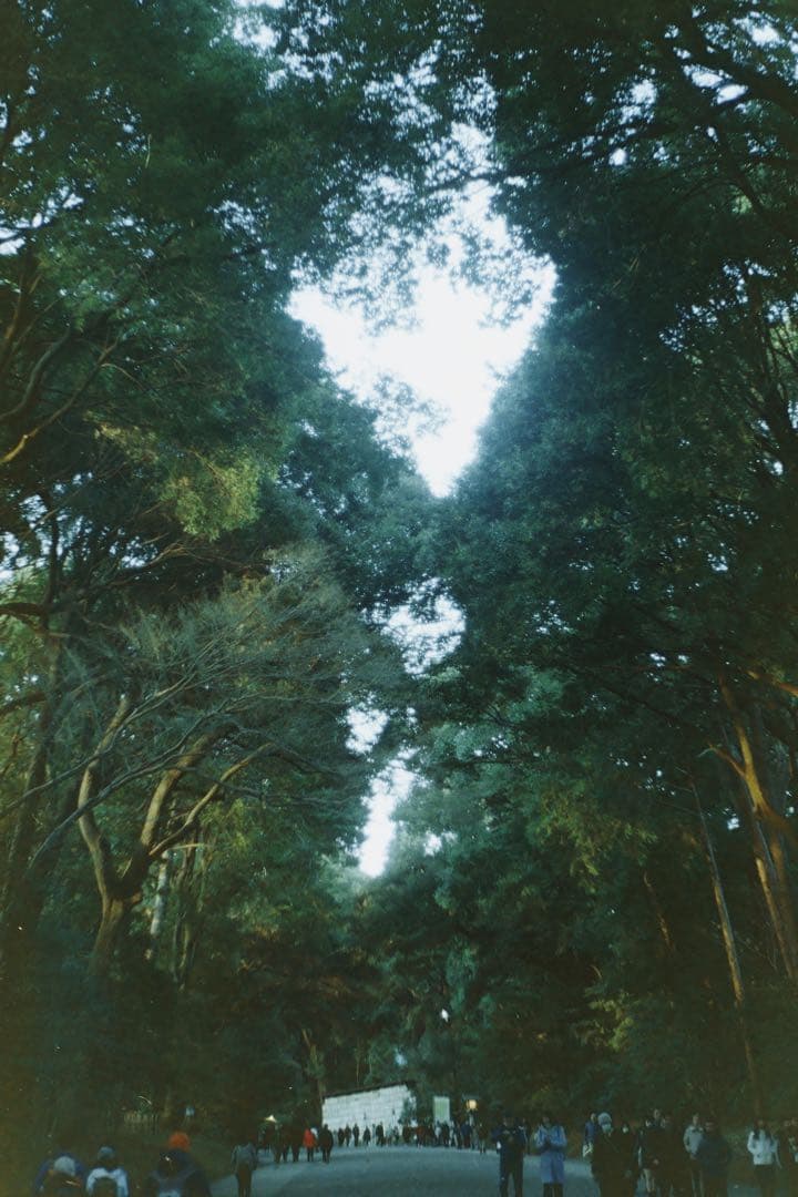 Leica IIIf【OH済】【二重象◎】【幕交換済◎】【各部注油済◎】【作例有