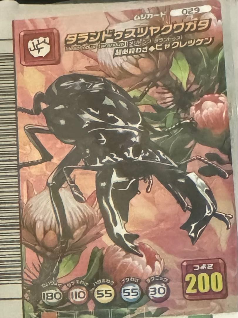 ムシキング 5周年記念コレクションカード タランドゥスツヤクワガタ
