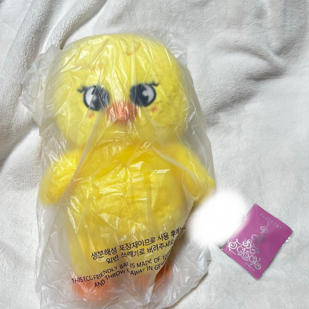 Stray Kids SKZOO テディベア BbokAri ポガリ