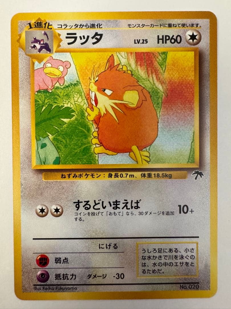 ポケモンカード　映画公開記念パック　サザンアイランド　旧裏　9枚セット　希少