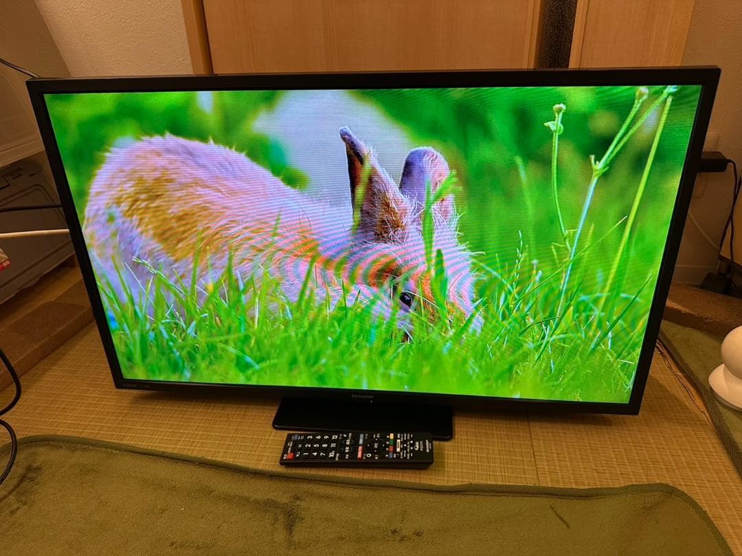 SHARP シャープ　32型　テレビ 2T-C32DE 2023年製　極美品！