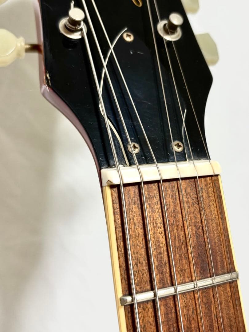 【新品弦張替済】Burny レスポール スタンダード フェルナンデス