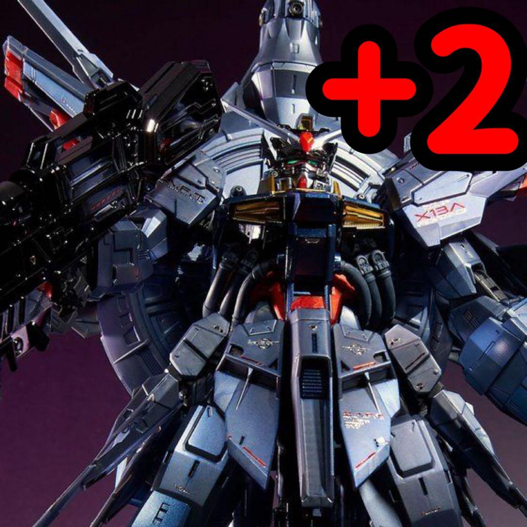 ＭＧ プロヴィデンスガンダム [スペシャルコーティング]2個