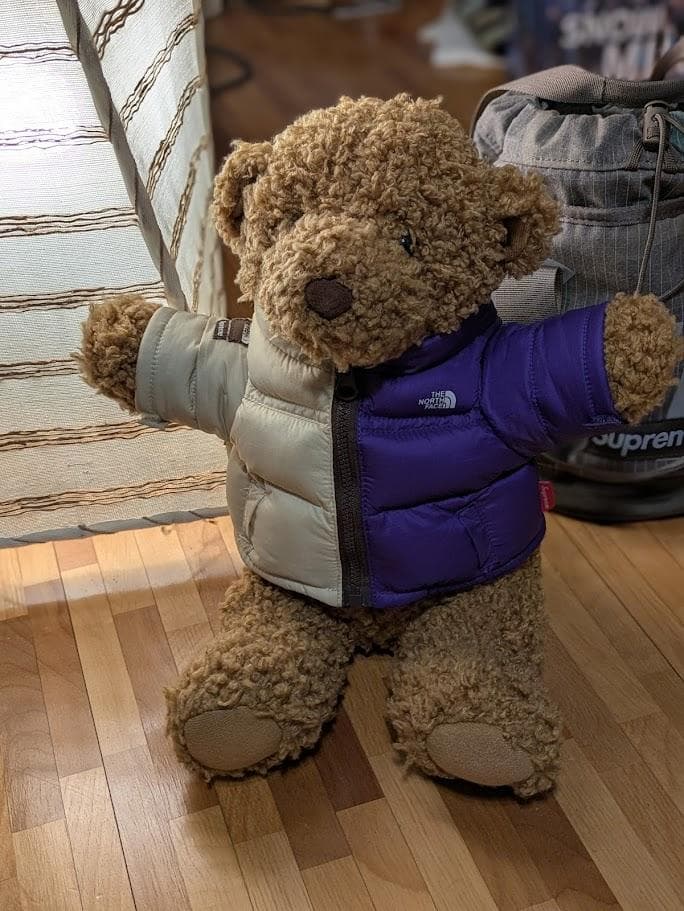 極美品 Supreme The North Face Stuff Animal