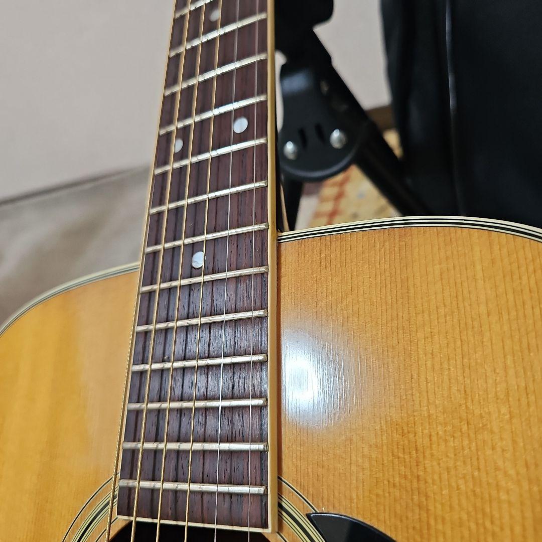 Morris.F-25四角ラベル初期型 キグバック付き