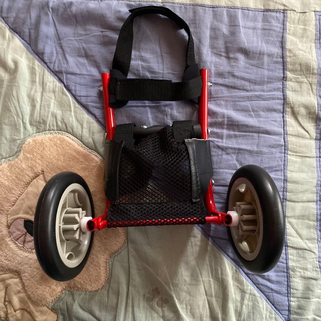 小型犬用 レッド メッシュ 車いす