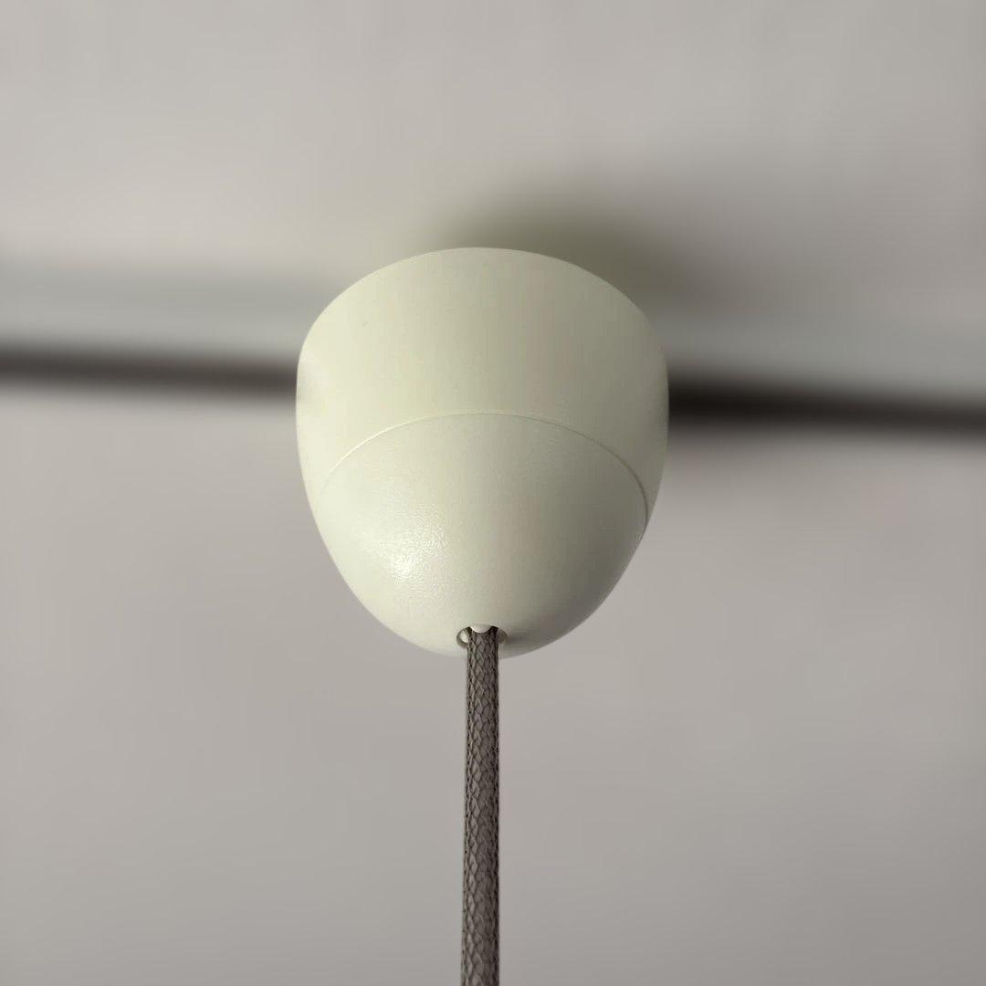 りゅう様　カラヴァッジオP2 1個