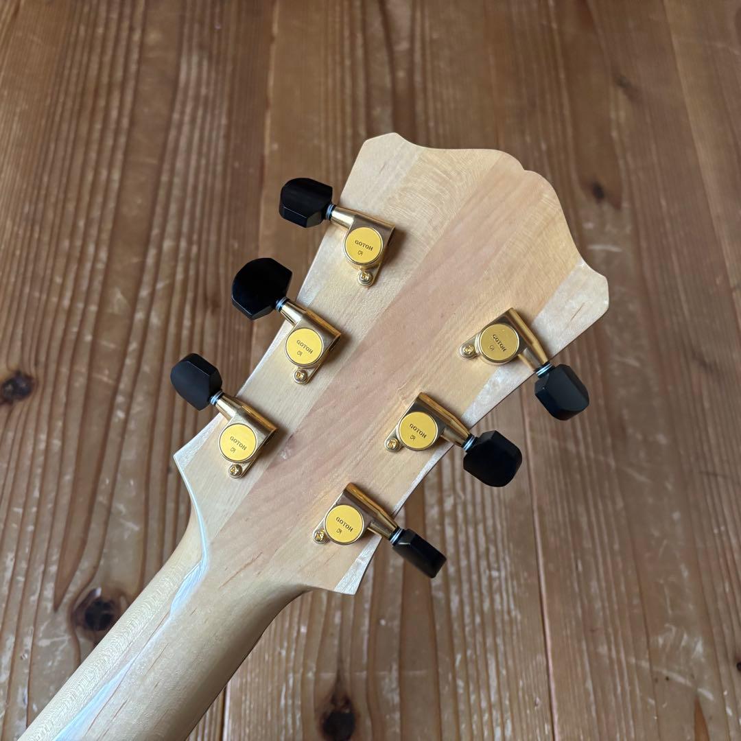 2019年製 Eastman AR810CE