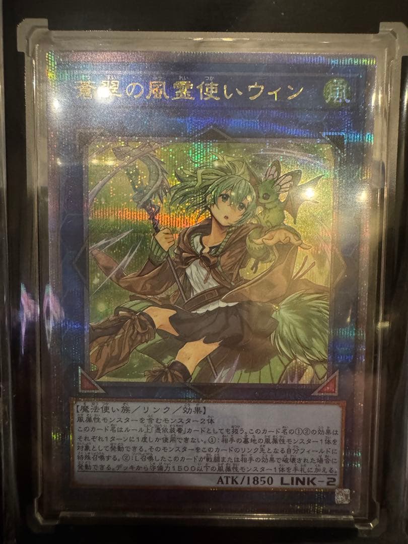 遊戯王 蒼翠の風霊使いウィン　25thシク クオシク