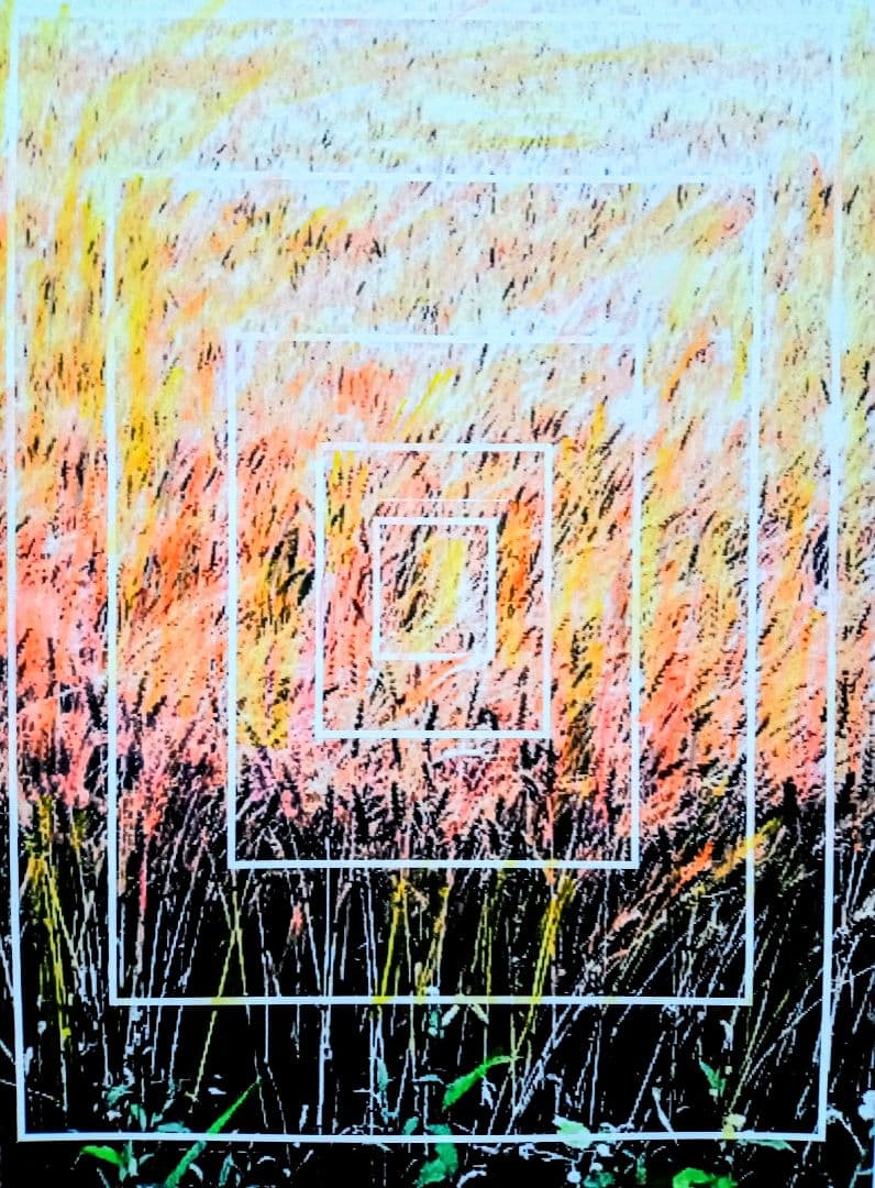 ＃ムギ畑の絵です