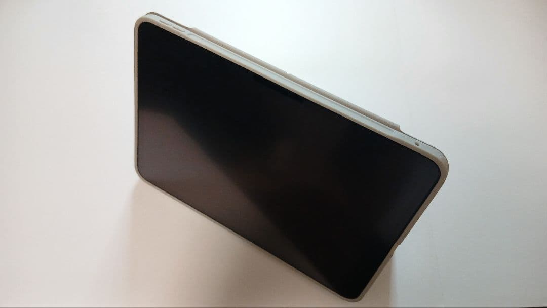 ほぼ新品 iPadPro M4 256 11インチ シルバー Cellular