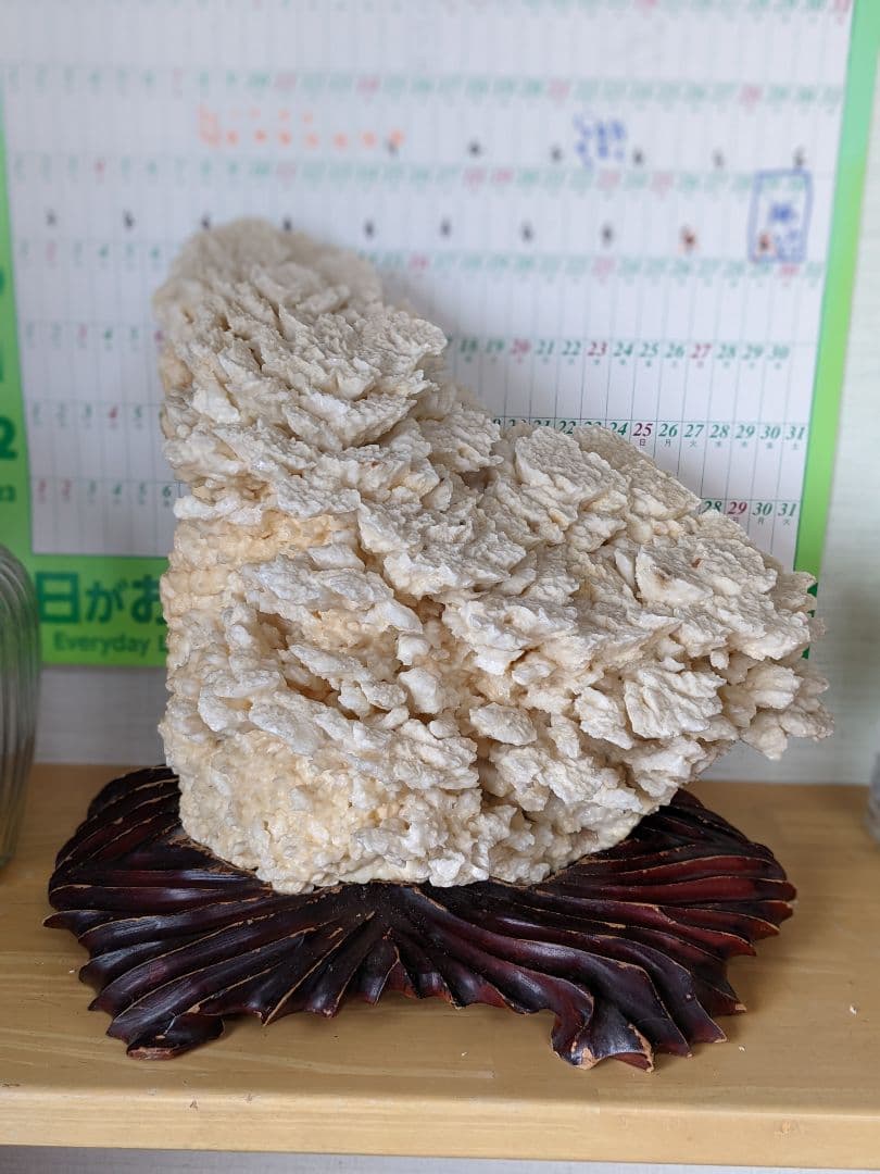 珊瑚礁　海の宝