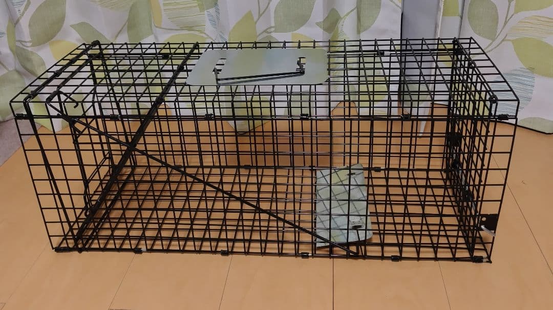 小動物用捕獲器とトレイルカメラ、チャオチュールのセット