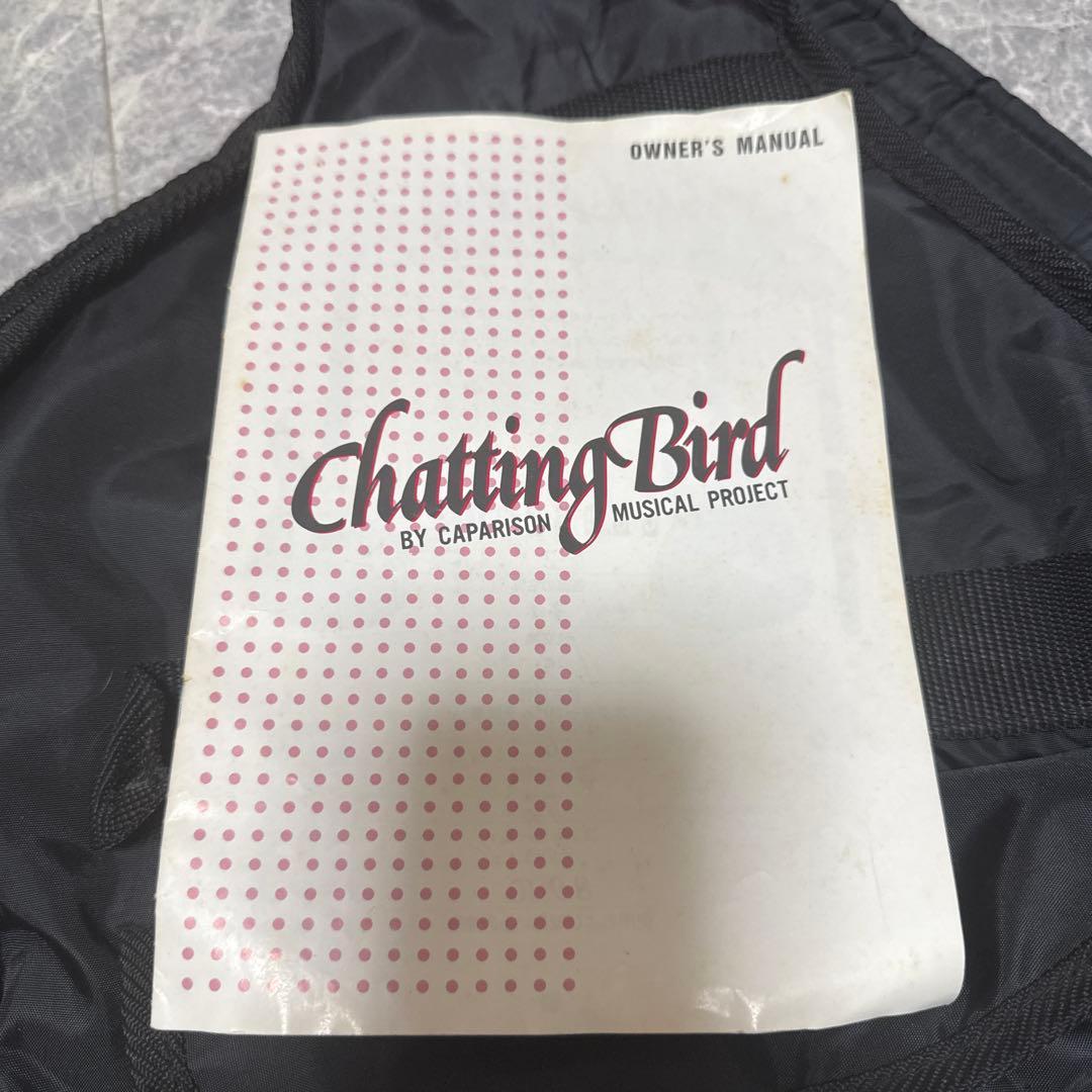 エレキギター アンプ接続不明