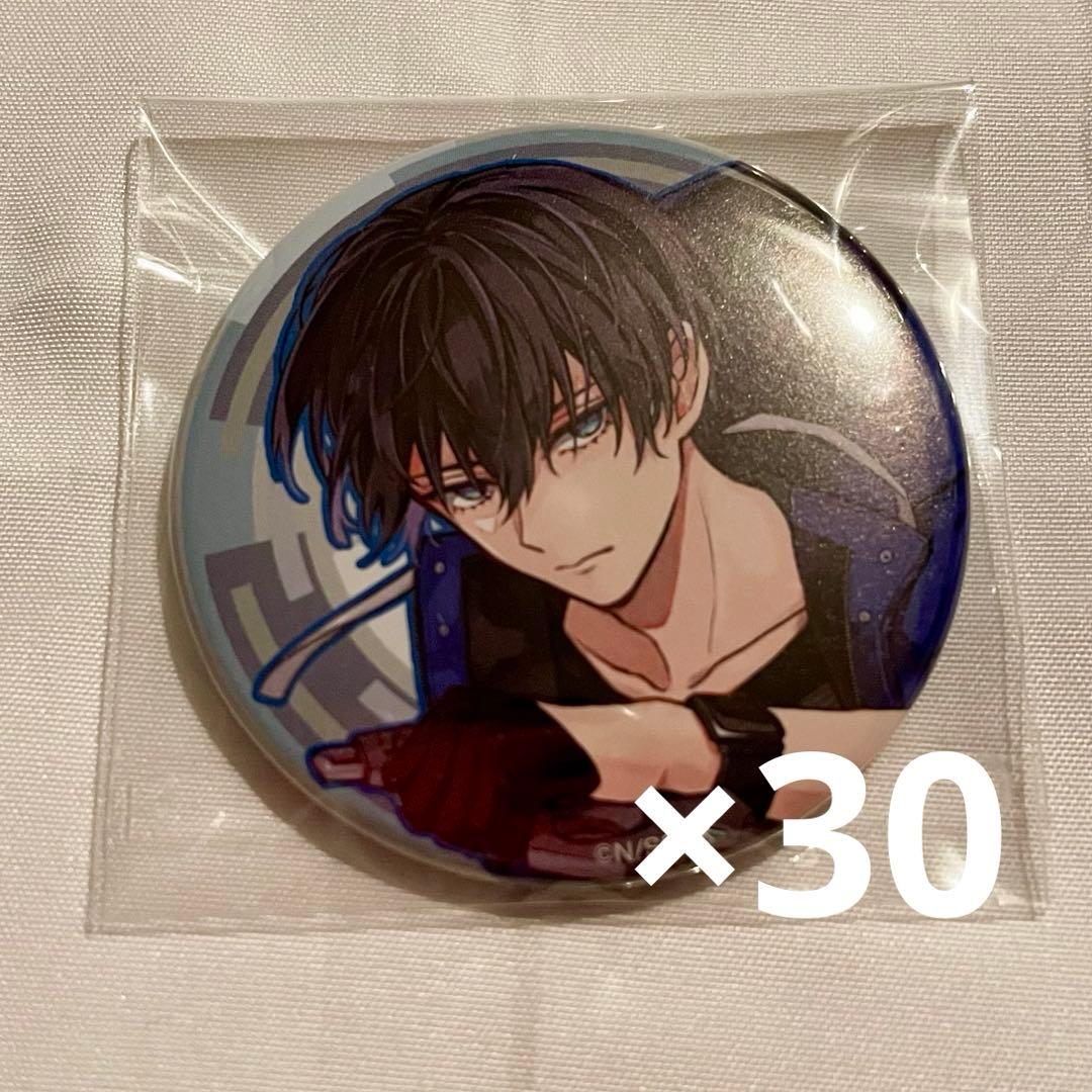 東京エイリアンズ 天空橋 ミュージアム缶バッジ 30点セット