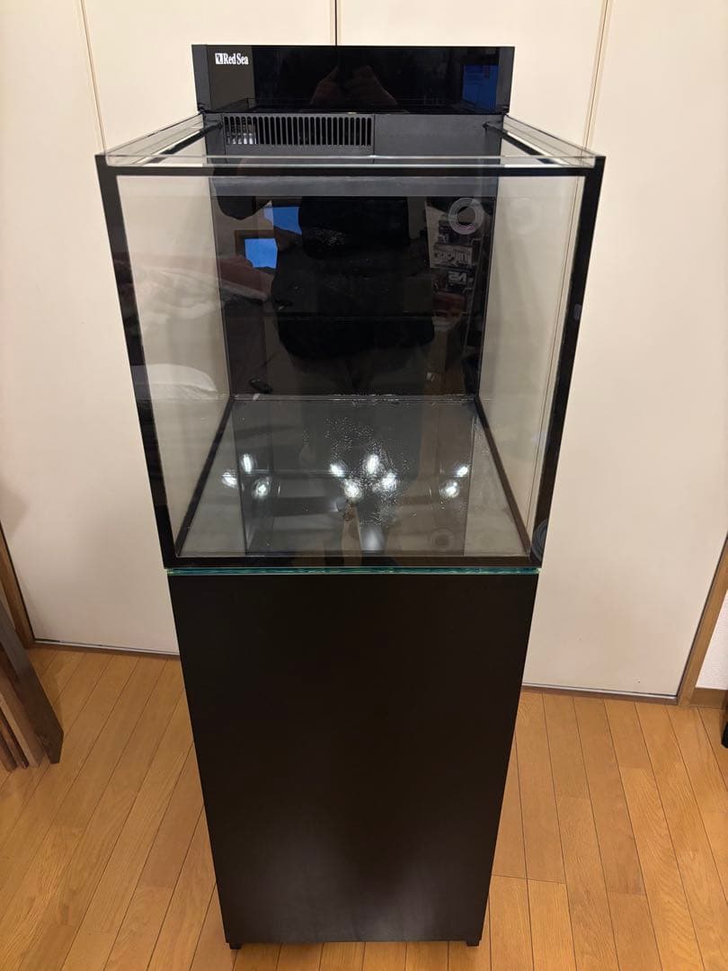 レッドシー　MAXシリーズ　ペニシュラン　大阪から