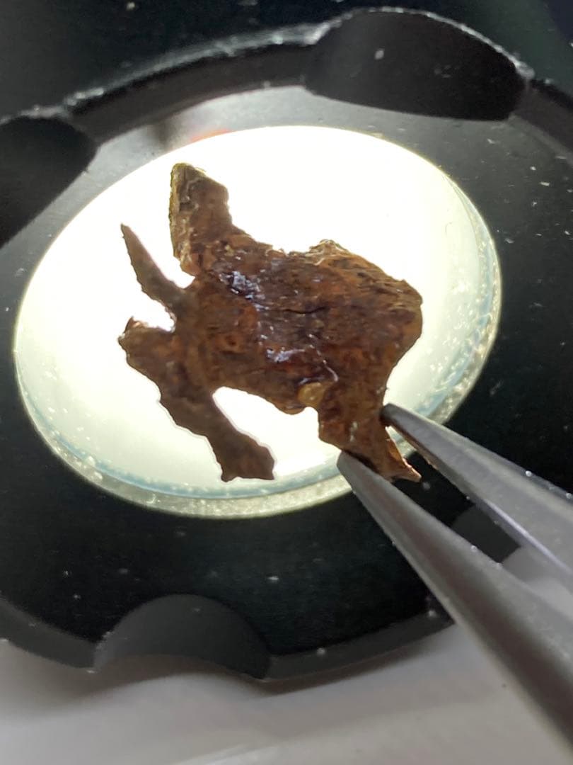 イミラック隕石原石2.81g