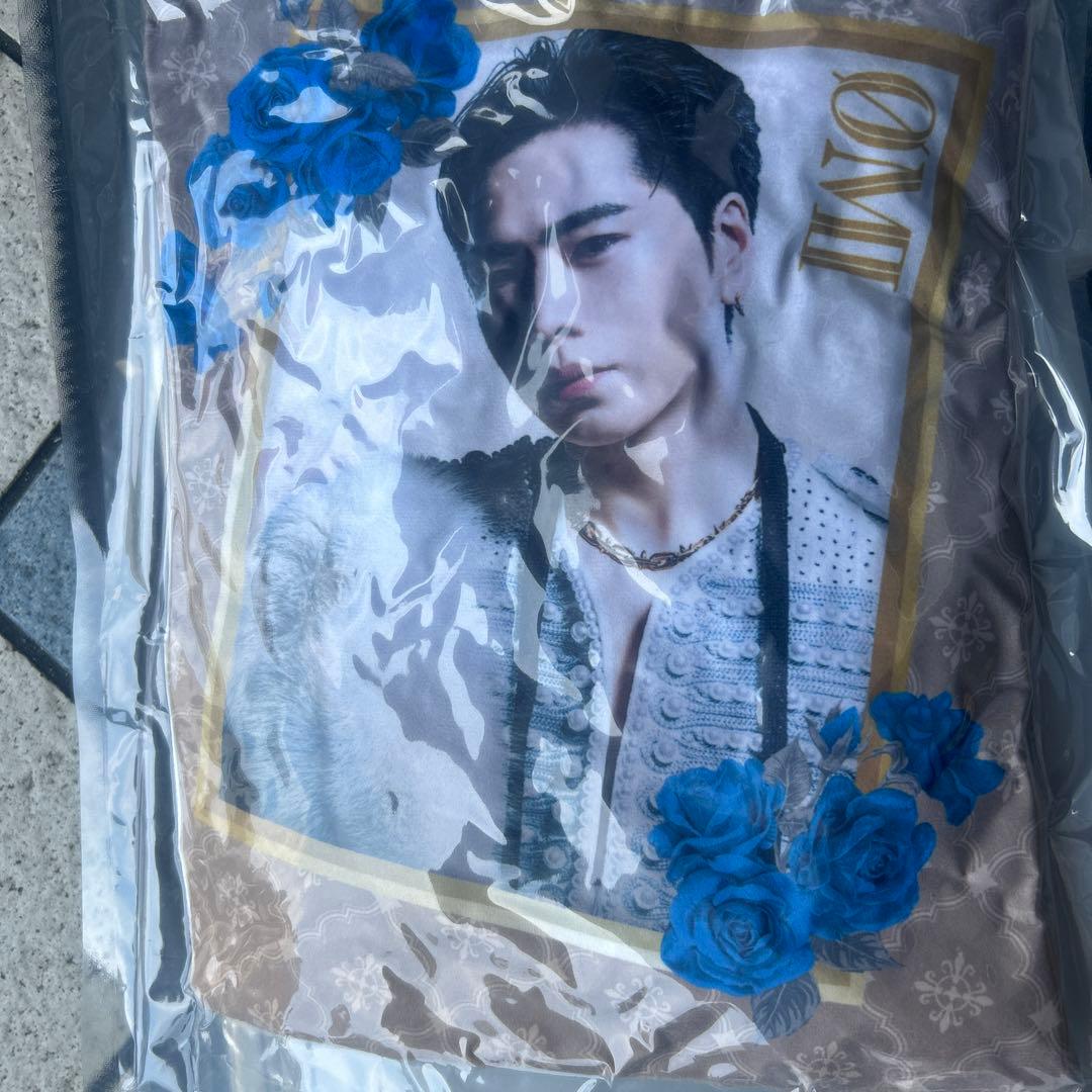 タイムセール　３０分限定　要相談　登坂広臣　クッション　レア　三代目　JSB