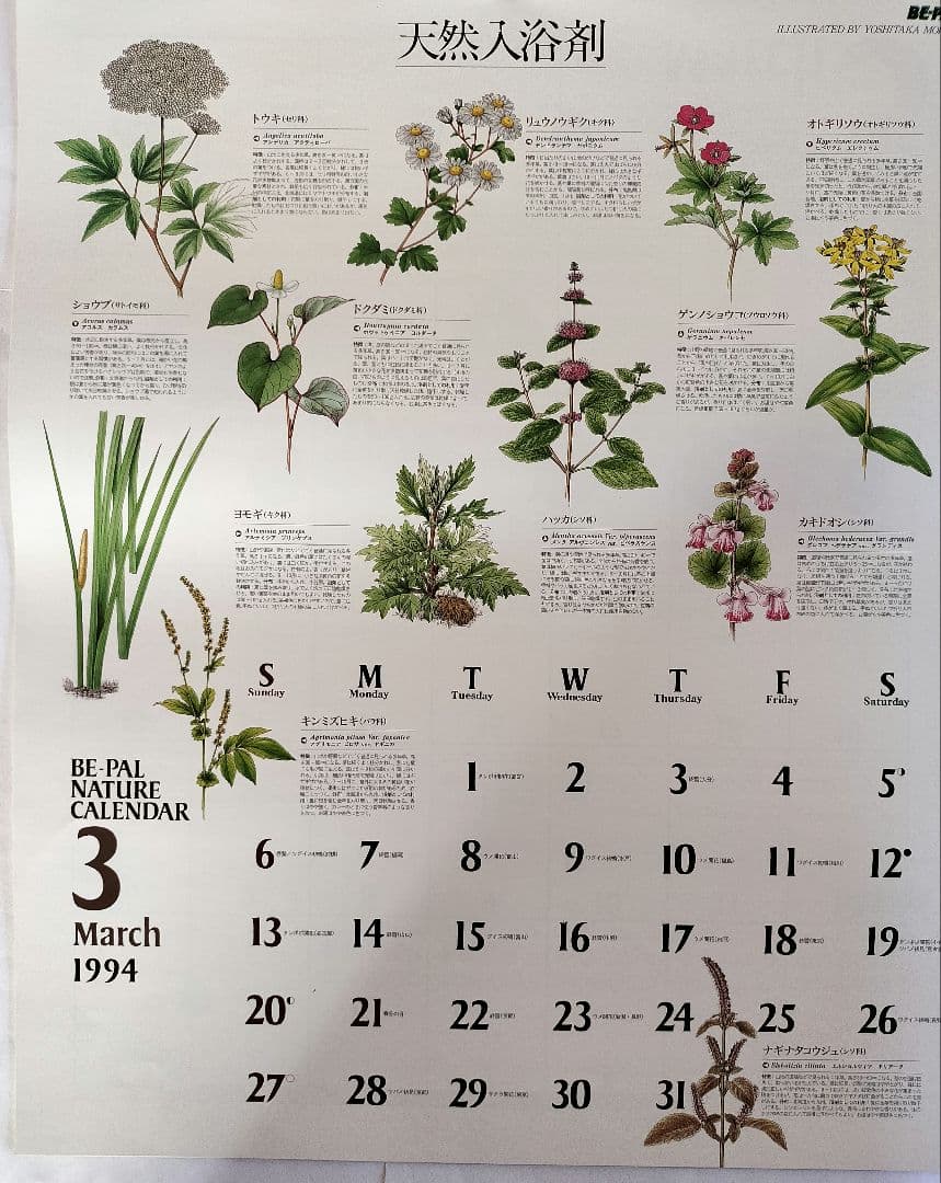 BE-PAL ビーパル カレンダー 新品未使用 1994年 ヴィンテージ