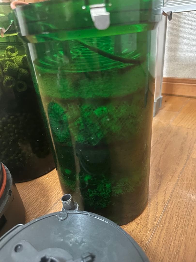 エーハイム外部フィルター2215 と　エーハイム2213 作動確認済み