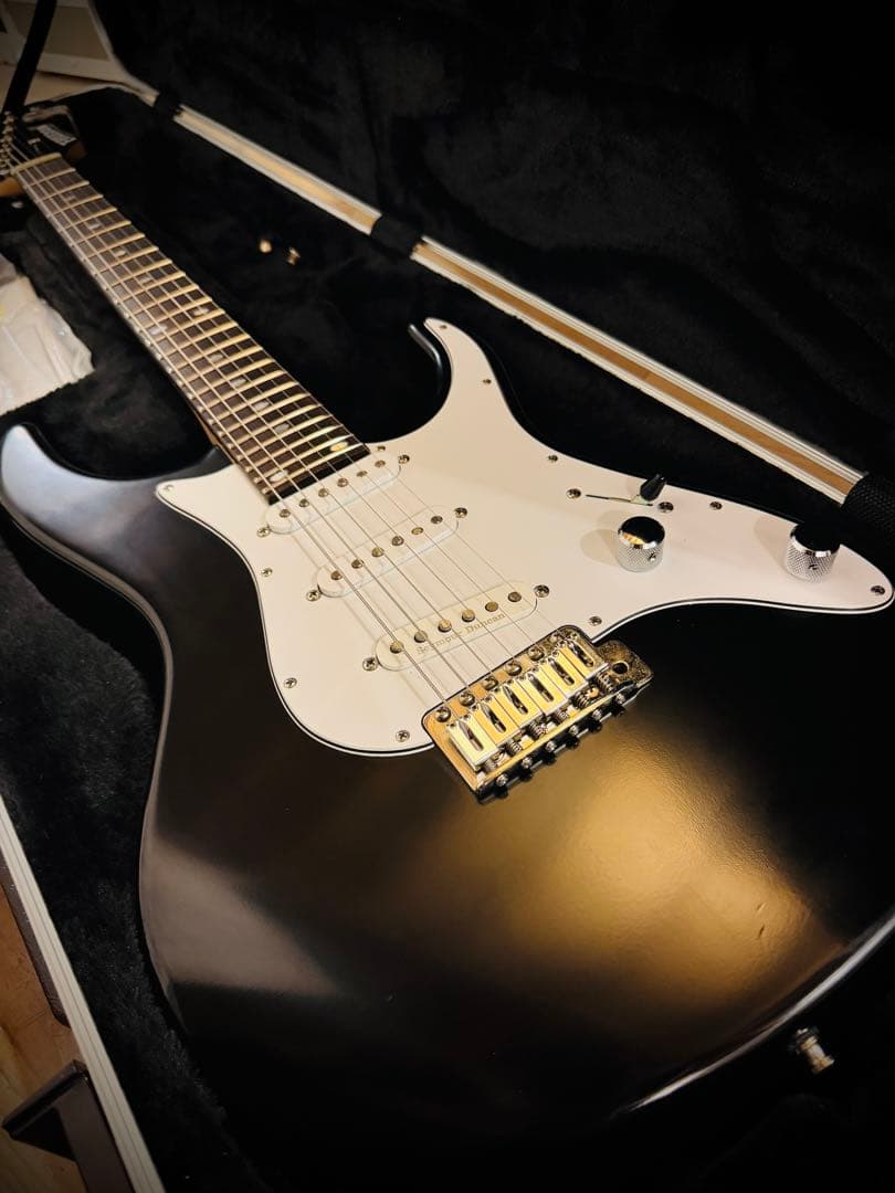 ギター FREEDOM CUSTOM GUITAR RESEARCH EZa 24f