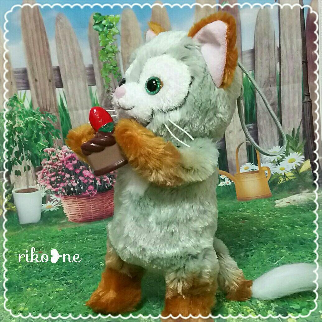 ニヤケル猫様☆確認page♡ジェラトーニリクエストオーダー