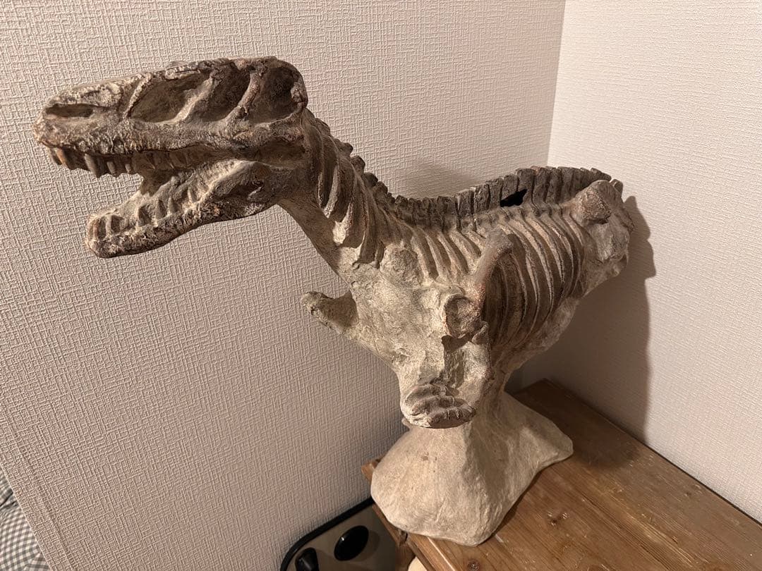 COVENT GARDEN 恐竜の大型骨格オブジェ　約80cm グレー 石膏製？