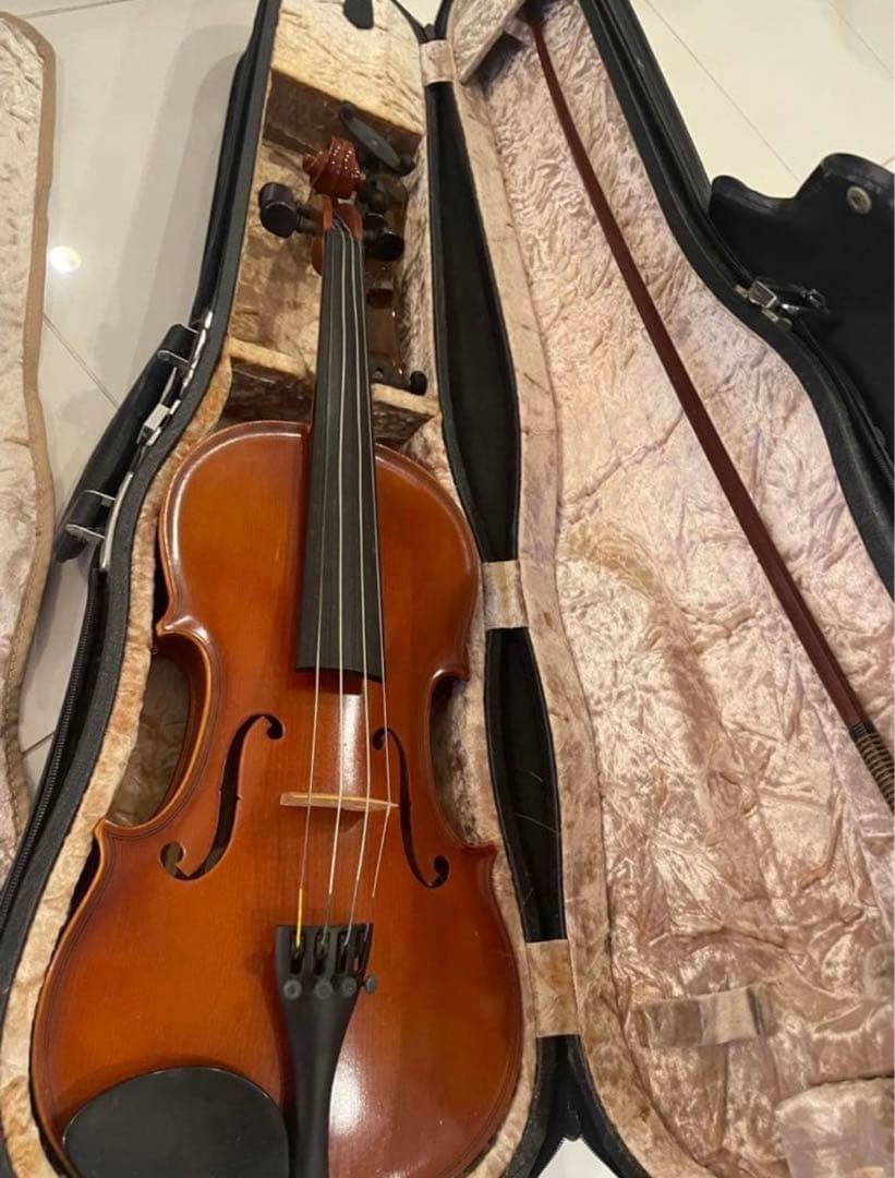 ARSバイオリン