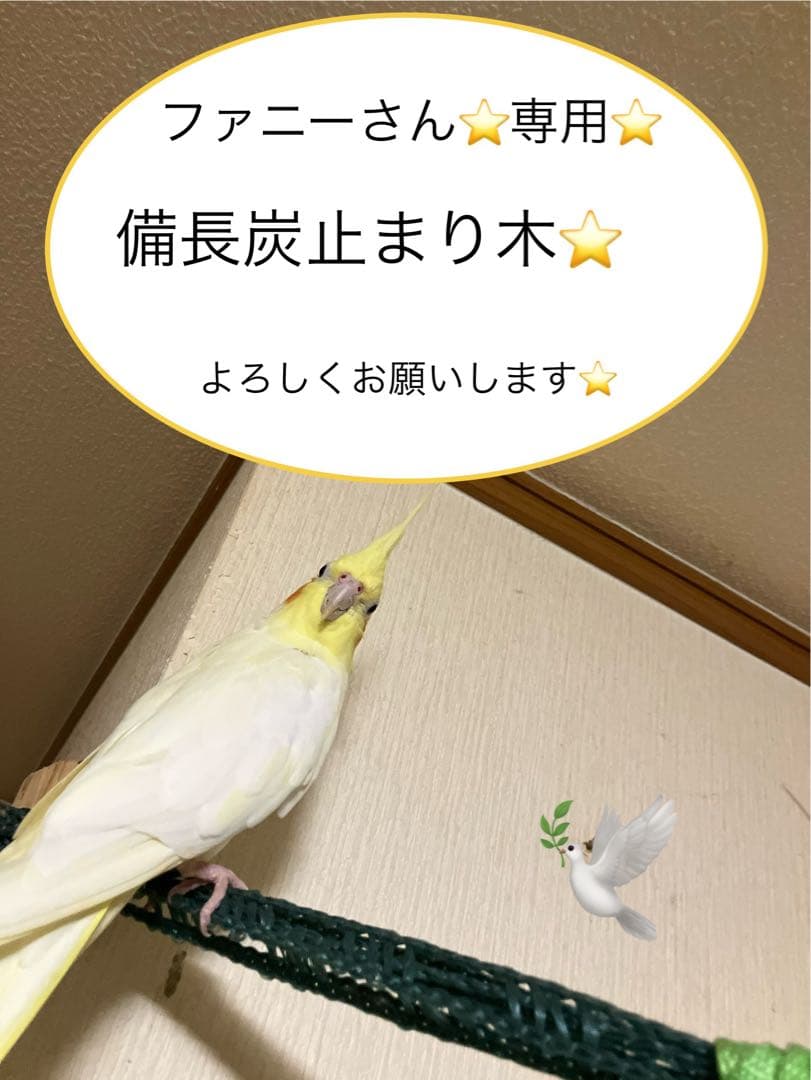 備長炭止まり木⭐️止まり木⭐️パーチ⭐️専用です♪(*´ω｀*)✨